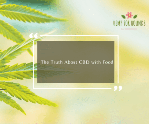 The Truth About CBD with Food