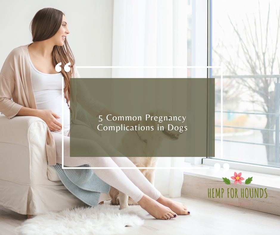 common pregnancy complications