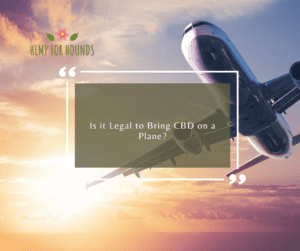 is it legal to bring cbd on a plane