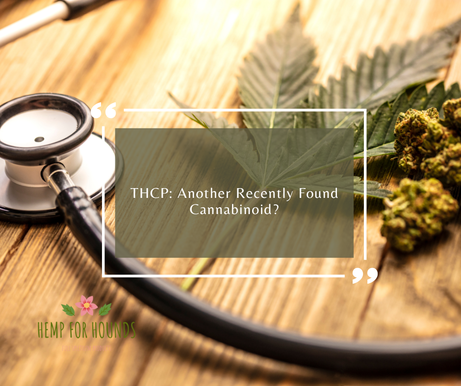 THCP: Another Recently Found Cannabinoid