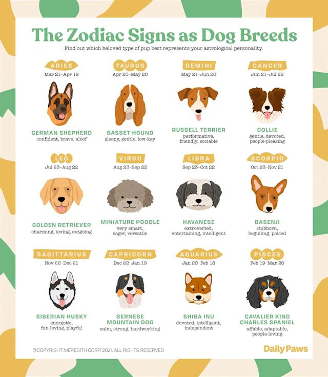 do dogs have horoscopes