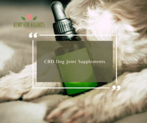 CBD Dog Joint Supplements