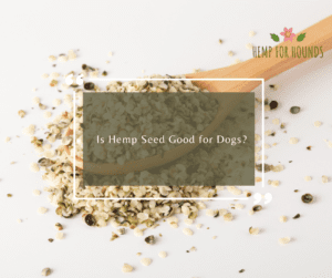 is hemp seed good for dogs