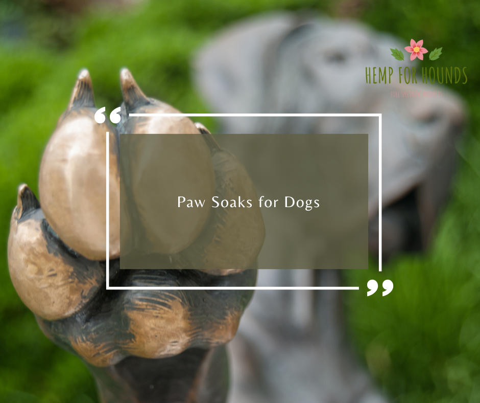 paw soaks for dogs