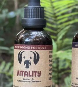 medicinal mushrooms for dogs with cancer