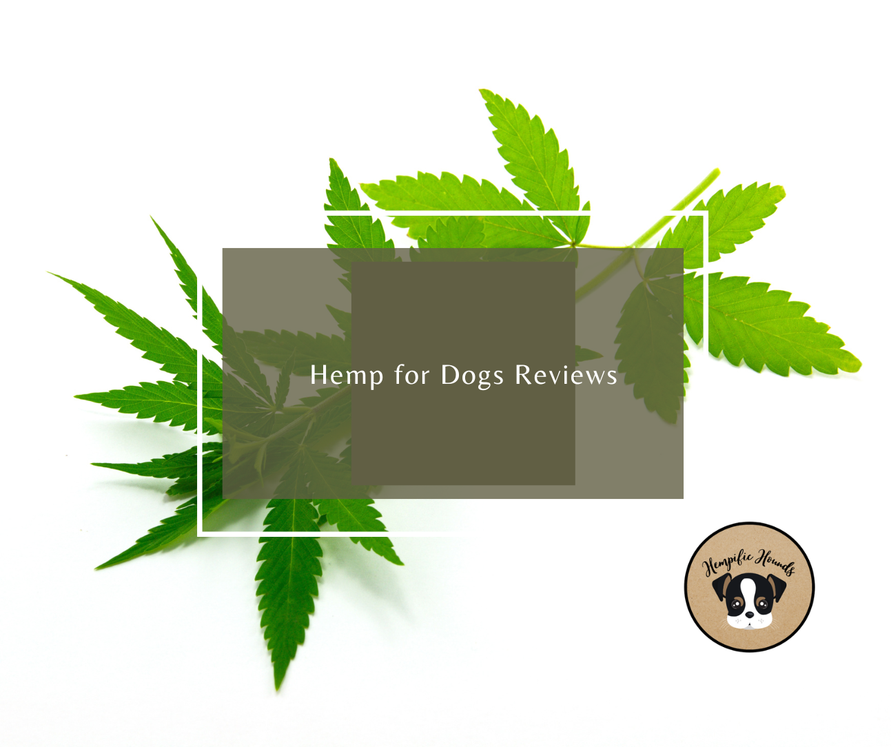 Hemp for Dogs Reviews
